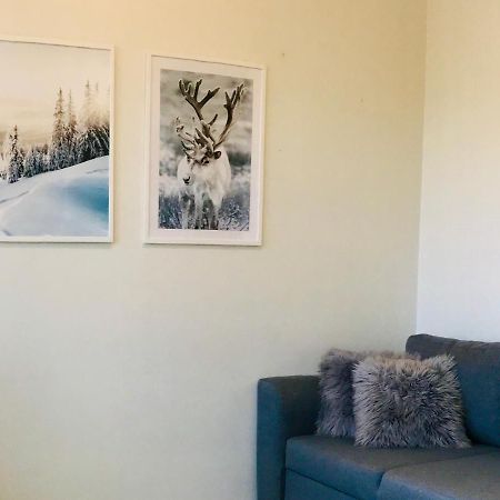 Santa'S Cozy Retreat, Near Santa'S Village Rovaniemi Zewnętrze zdjęcie
